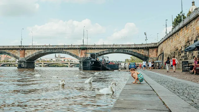 Procházky podél řeky